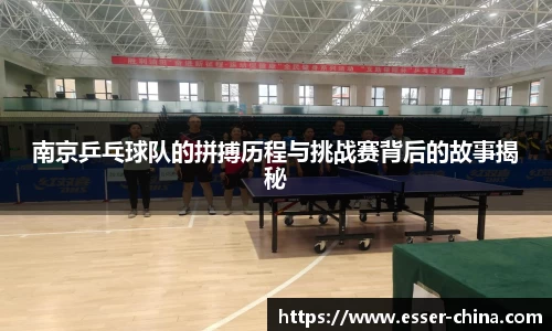 南京乒乓球队的拼搏历程与挑战赛背后的故事揭秘
